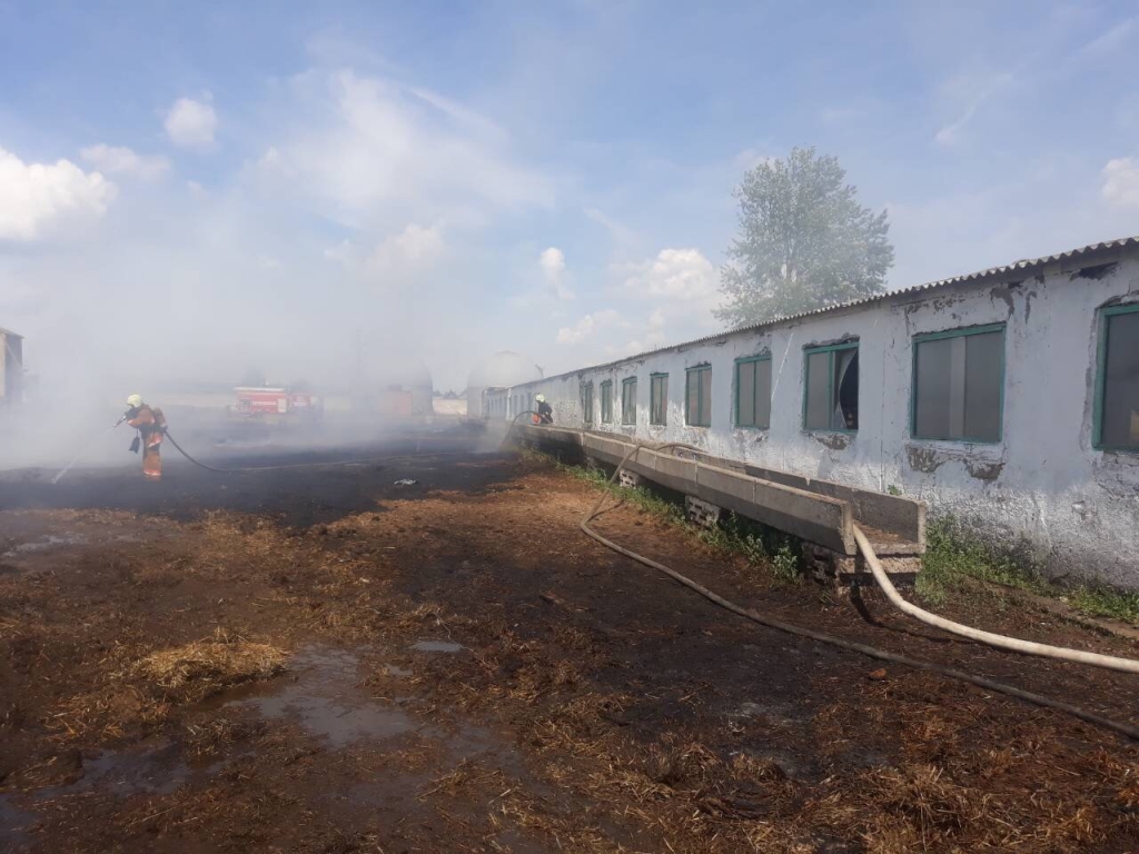 Борисовский 1.jpg