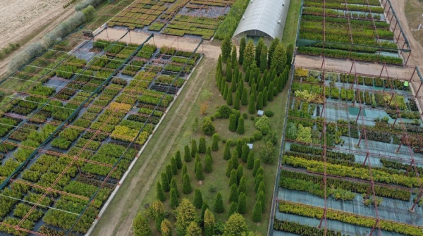 В основе работы – грамотный подход В основе работы – грамотный подход