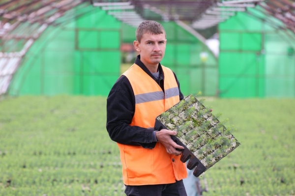 В основе работы – грамотный подход В основе работы – грамотный подход