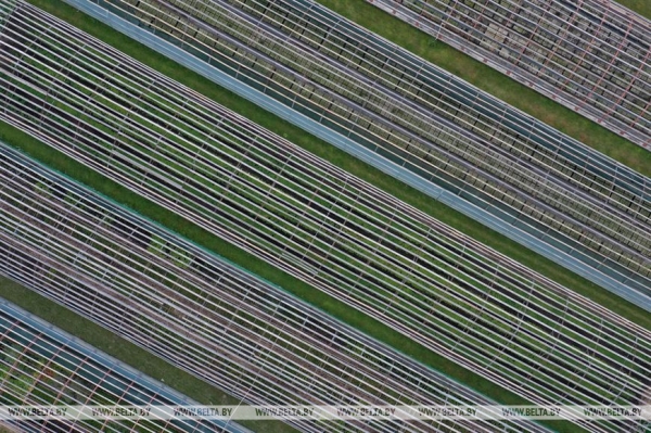 ФОТОФАКТ: Борисовский опытный лесхоз обеспечивает потребности района в посадочном материале для лесовосстановительных работ ФОТОФАКТ: Борисовский опытный лесхоз обеспечивает потребности района в посадочном материале для лесовосстановительных работ