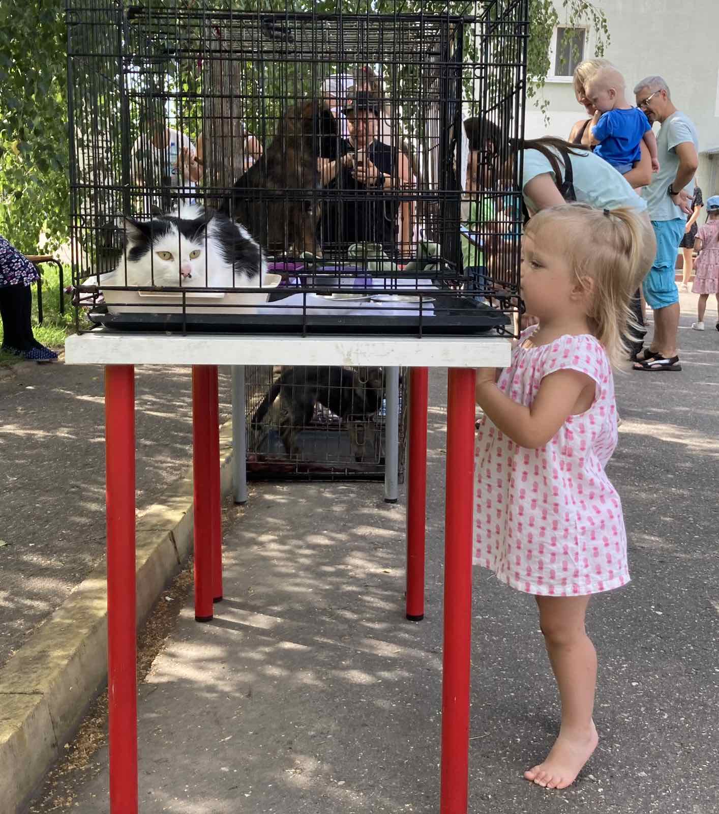 Витебскому приюту для животных &laquo;Добрик&raquo; &mdash; 12 лет