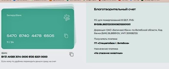 Витебскому приюту для животных &laquo;Добрик&raquo; &mdash; 12 лет