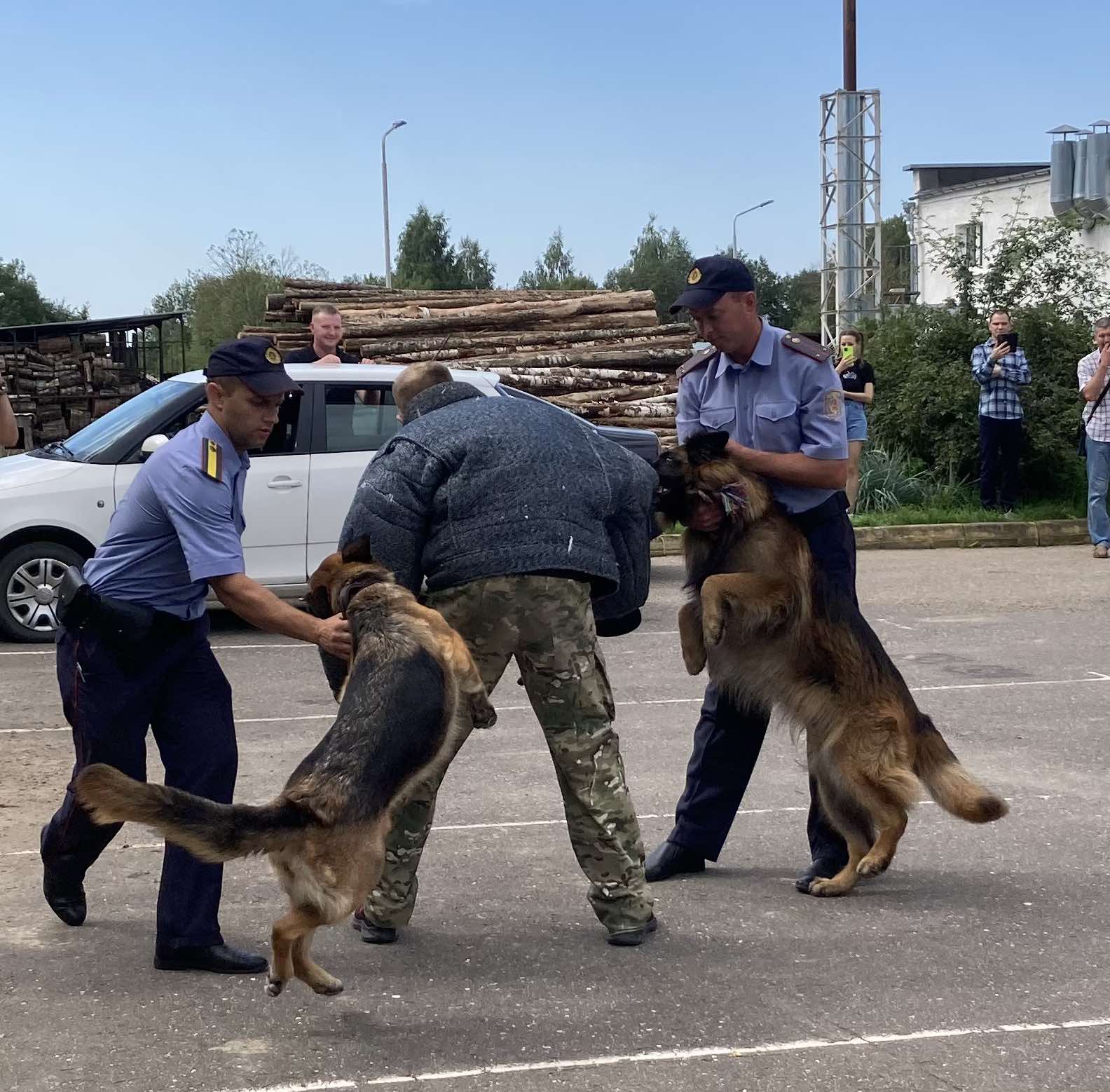 Витебскому приюту для животных &laquo;Добрик&raquo; &mdash; 12 лет