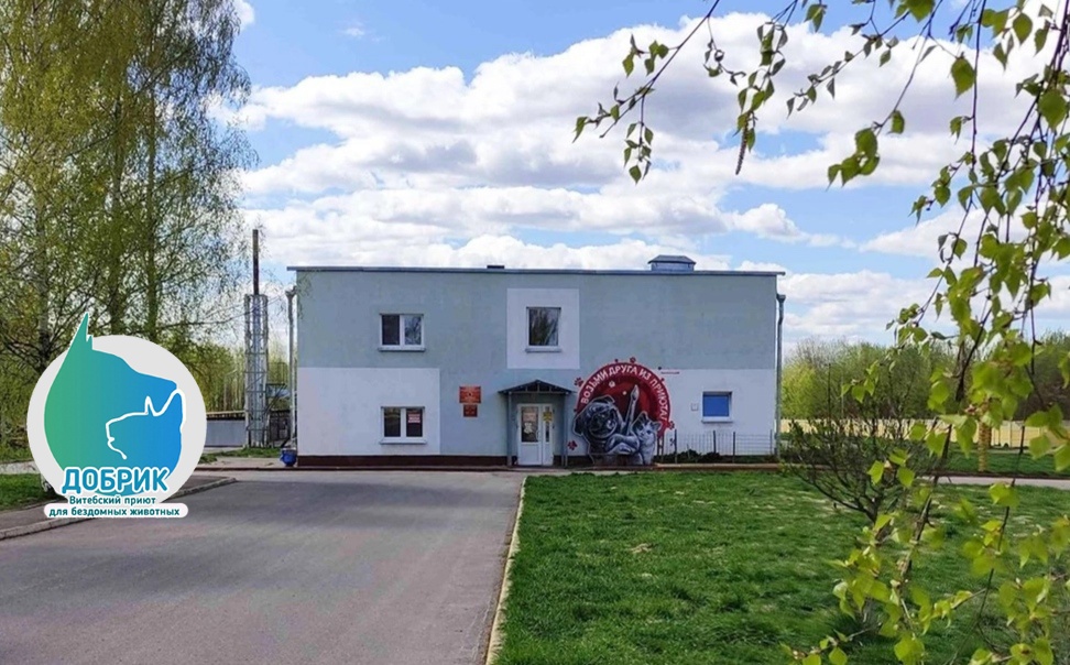Витебскому приюту для животных &laquo;Добрик&raquo; &mdash; 12 лет