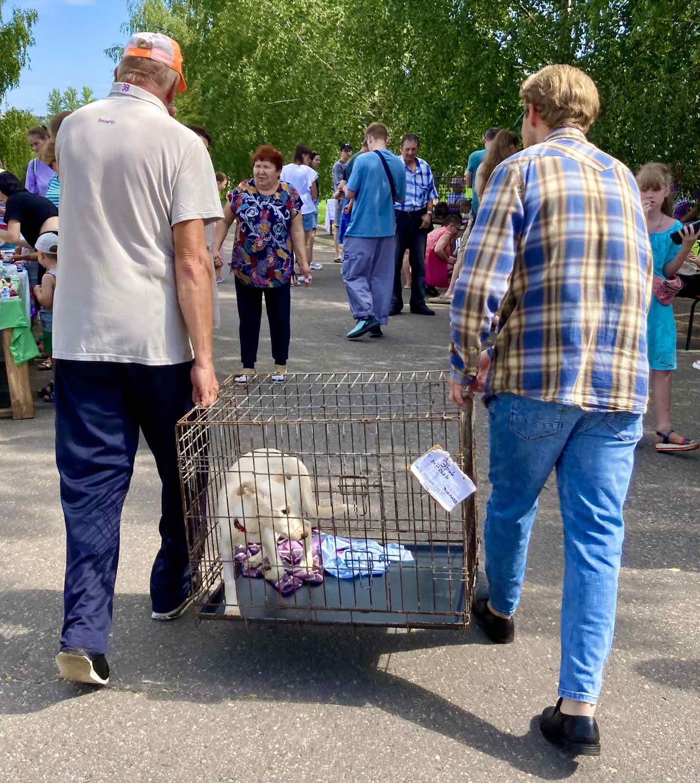 Витебскому приюту для животных &laquo;Добрик&raquo; &mdash; 12 лет