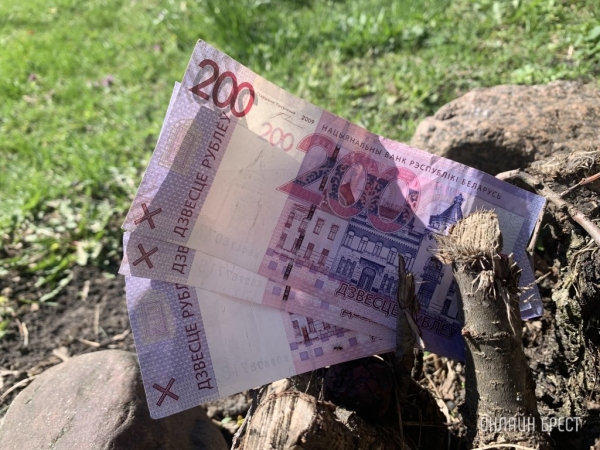 Кто в Беларуси получает самые большие зарплаты