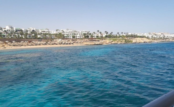 Вместо отдыха в Хургаде жительница Борисова столкнулась с мошенничеством Вместо отдыха в Хургаде жительница Борисова столкнулась с мошенничеством