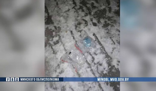 В Борисове 16-летний юноша и его 21-летняя возлюбленная распространяли наркотики В Борисове 16-летний юноша и его 21-летняя возлюбленная распространяли наркотики